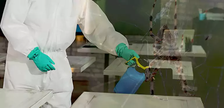 Why Buyers Still Want Homes With Pest Infestations in Sioux Falls, SD?